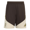 Conjunto Flamengo Comissão 26/27 - Marrom