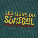 Camisa Senegal Away 2026 - Verde