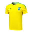 Conjunto Brasil Treino 24/25  - Amarelo e Verde