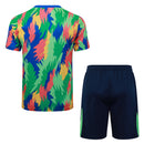 Conjunto Brasil Treino 25/26  - Verde
