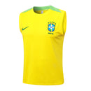 Conjunto Brasil Treino Regata 24/25  - Amarelo e Verde