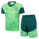 Conjunto Palmeiras Treino 24/25 Verde