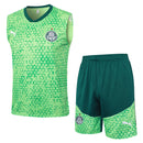 Conjunto Palmeiras Treino Regata 24/25 Verde