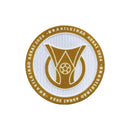 Patch participação Brasileirão 2024 para manga